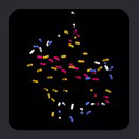 Ubiquitin: HN-N Bond Vector Orientations are Not Random or Uniform