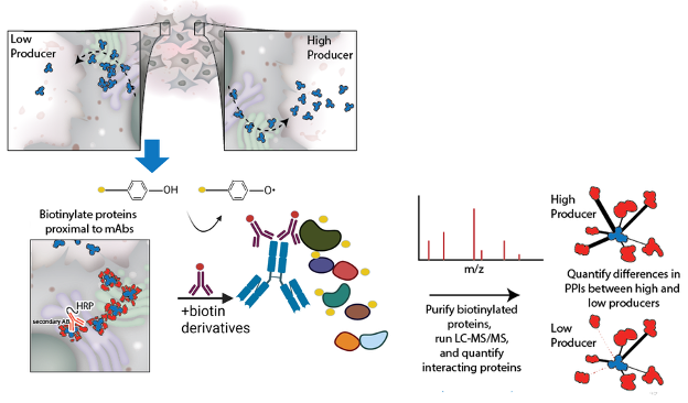 A graphic displaying the BAR method.