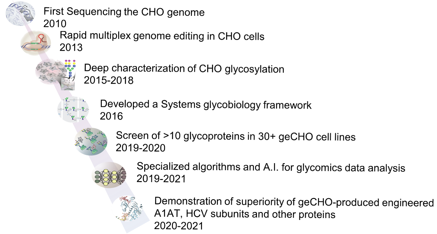 A history of the last decade of pioneering systems glycoengineering in CHO.