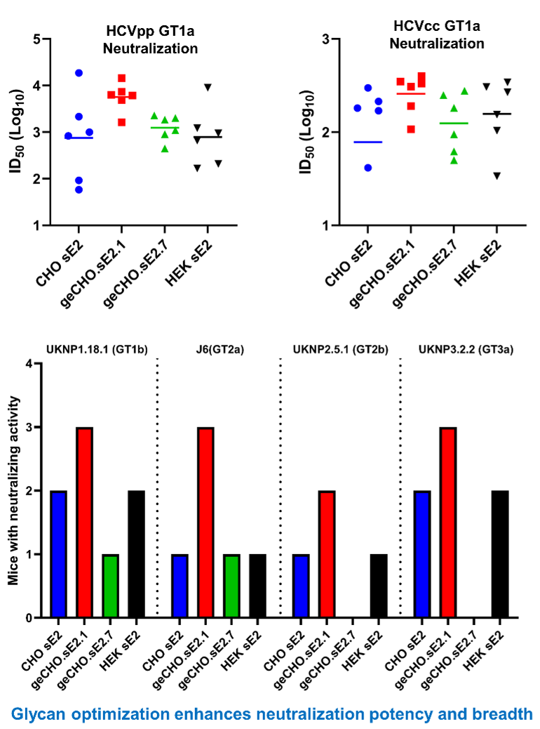 Glycan optimization graphic
