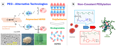 Graphic showing Alternative PEGylation approaches.