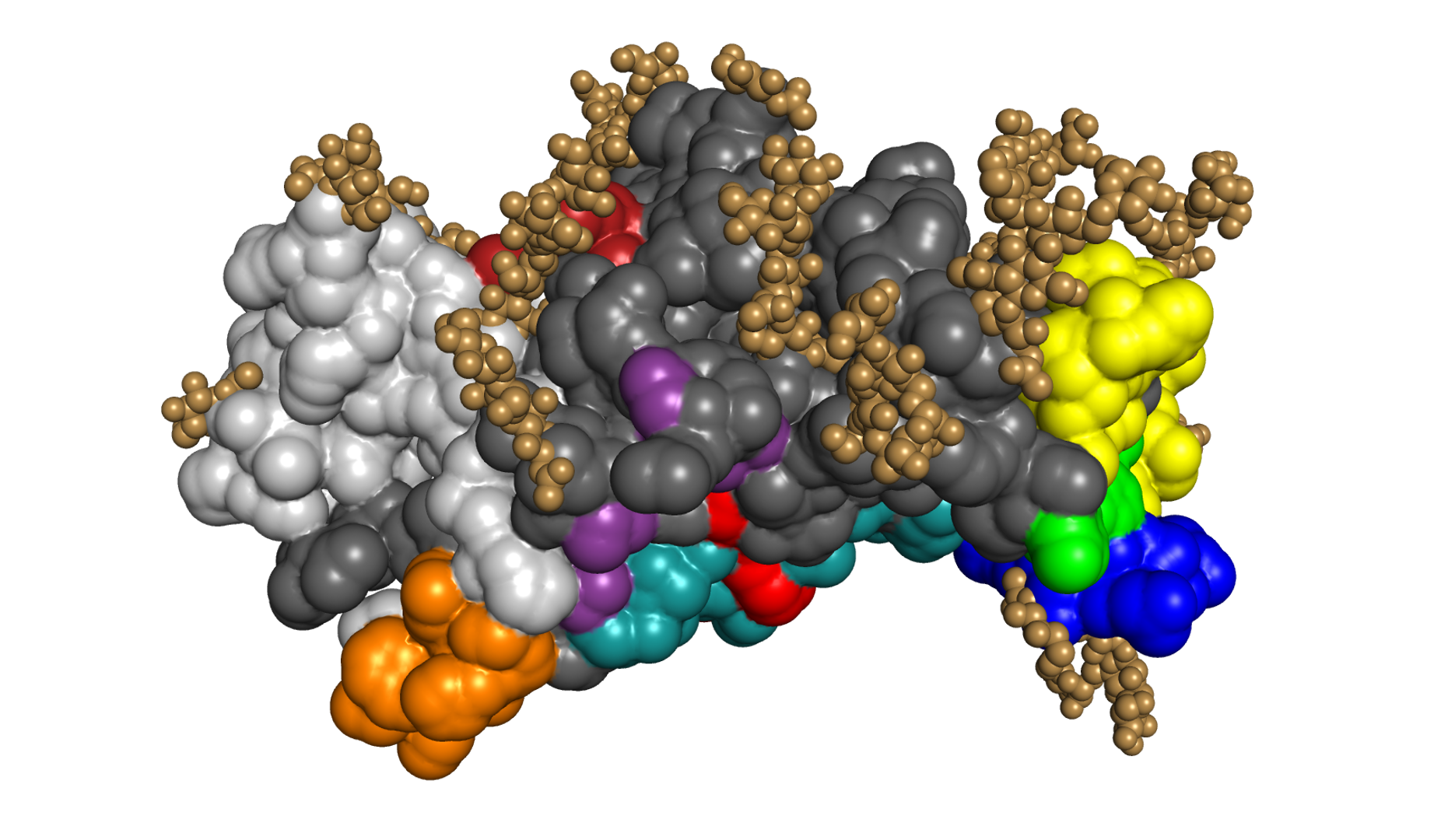 A graphic of a glycan molecule.