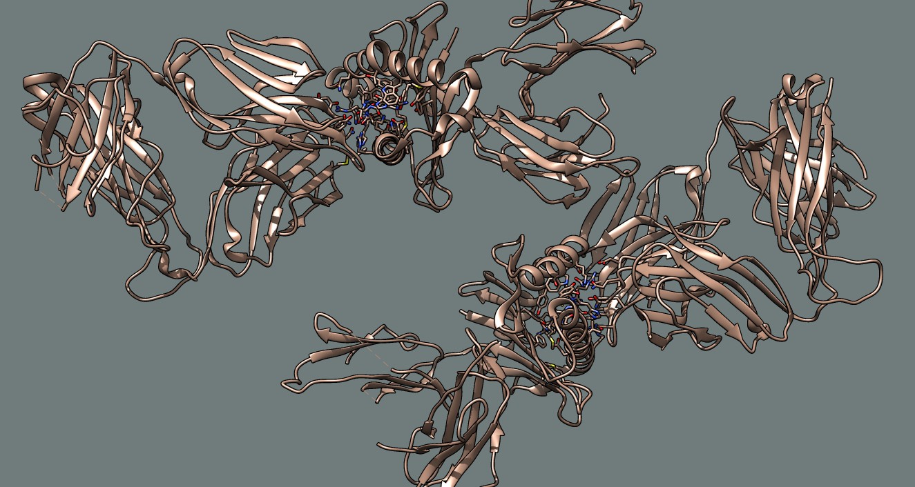 Protein Structure Image